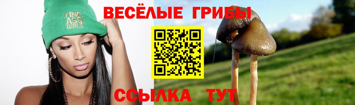 Галлюциногенные грибы прущие грибы  Вход с VPN  что такое наркотик  Алушта 